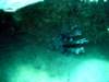 dsc02893_small.jpg