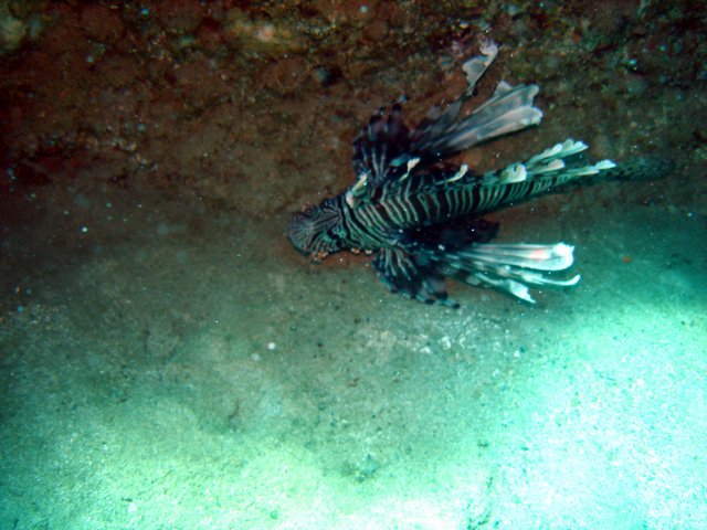 dsc02894.jpg