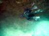 dsc02894_small.jpg