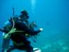 dsc02896_small.jpg