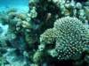 dsc02897_small.jpg