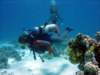 dsc02898_small.jpg