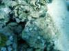 dsc02899_small.jpg