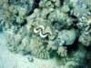 dsc02900_small.jpg