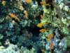dsc02905_small.jpg
