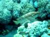 dsc02906_small.jpg