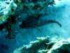 dsc02907_small.jpg