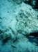 dsc02908_small.jpg