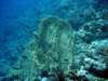 dsc02911_small.jpg