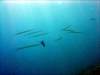 dsc02912_small.jpg