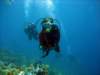 dsc02915_small.jpg