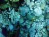 dsc02916_small.jpg