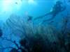 dsc02917_small.jpg