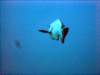 dsc02919_small.jpg