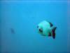 dsc02920_small.jpg