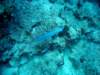 dsc02922_small.jpg