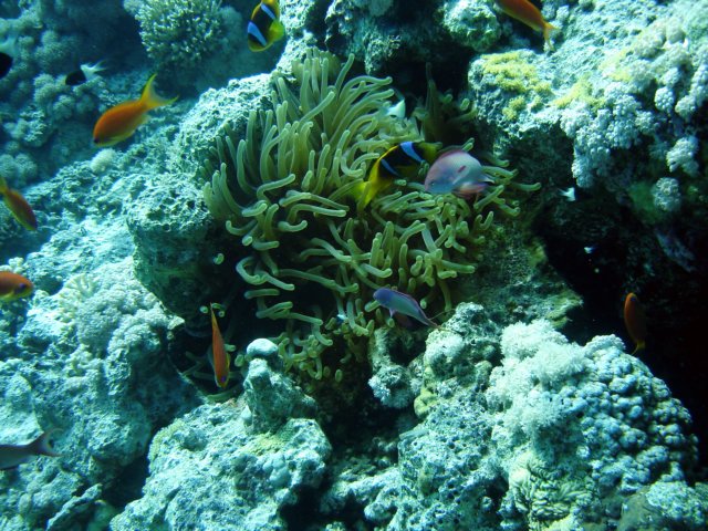 dsc02924.jpg