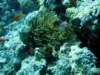 dsc02924_small.jpg