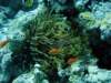 dsc02925_small.jpg