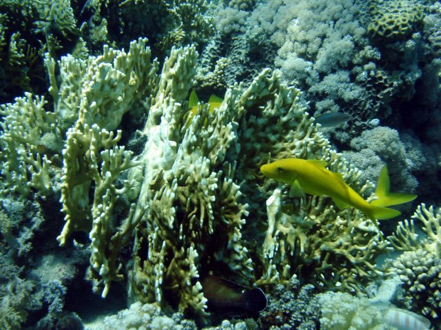 dsc02934.jpg