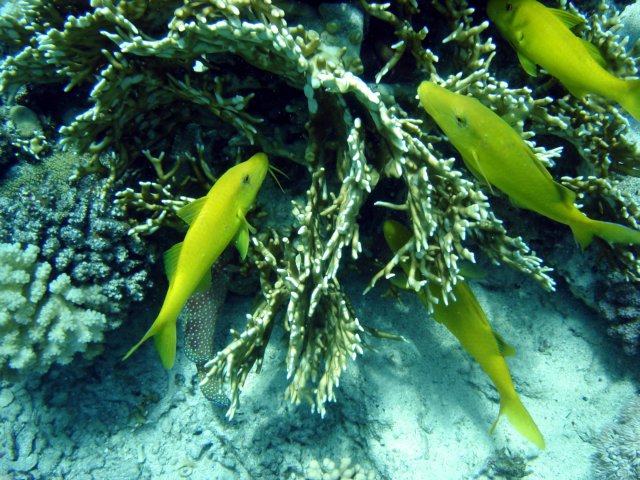 dsc02935.jpg
