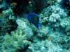 dsc02941_small.jpg