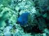 dsc02942_small.jpg
