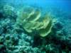 dsc02943_small.jpg