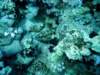 dsc02944_small.jpg
