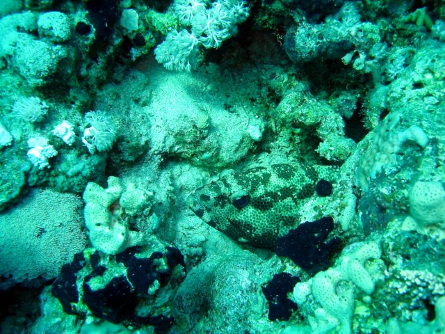 dsc02945.jpg