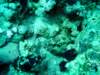 dsc02945_small.jpg