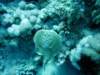 dsc02947_small.jpg
