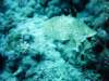 dsc02948_small.jpg