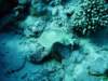 dsc02949_small.jpg