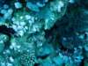 dsc02950_small.jpg