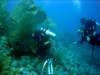 dsc02951_small.jpg