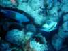 dsc02952_small.jpg