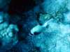 dsc02954_small.jpg