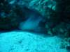 dsc02956_small.jpg