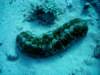 dsc02957_small.jpg