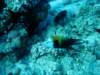 dsc02958_small.jpg
