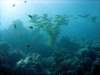 dsc02961_small.jpg