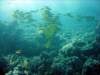 dsc02962_small.jpg