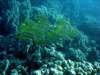 dsc02965_small.jpg