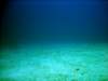 dsc02971_small.jpg