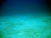 dsc02972_small.jpg