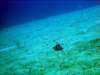dsc02973_small.jpg