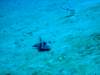 dsc02974_small.jpg