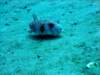 dsc02975_small.jpg