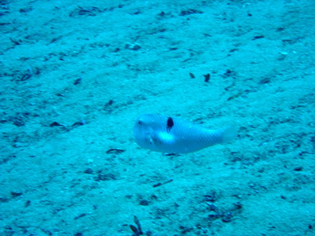 dsc02976.jpg